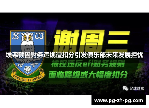 埃弗顿因财务违规遭扣分引发俱乐部未来发展担忧